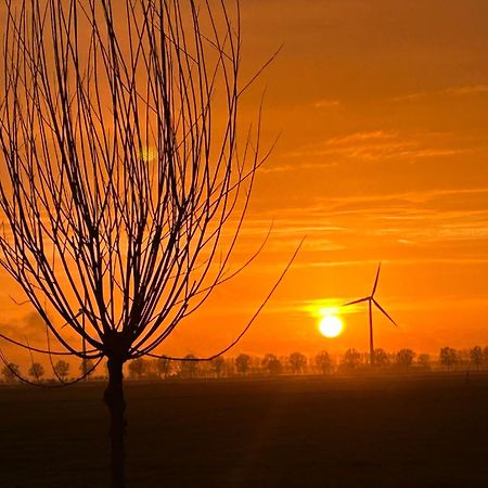 B&B Hieris'T Hoofdplaat Bagian luar foto
