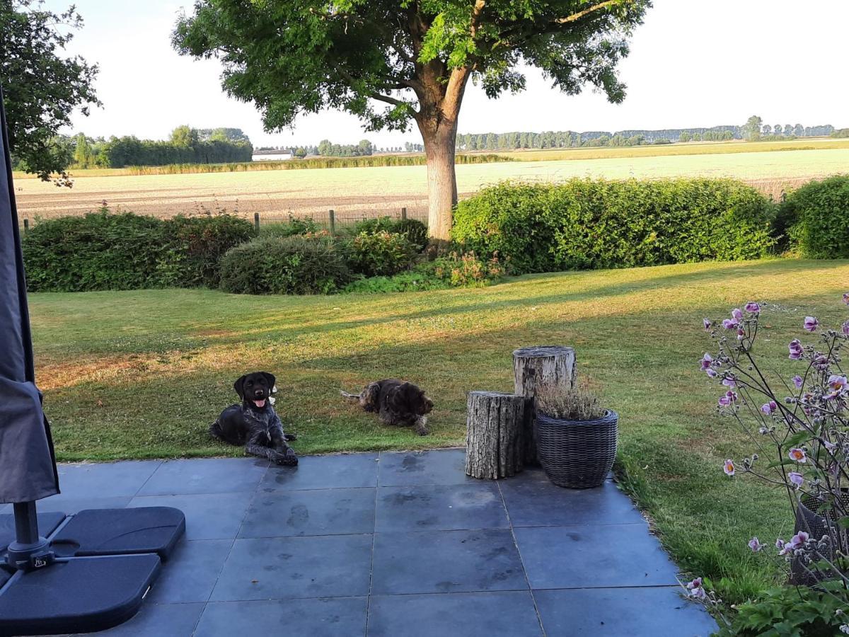 B&B Hieris'T Hoofdplaat Bagian luar foto
