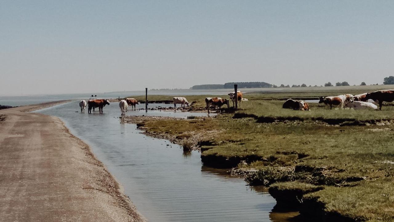 B&B Hieris'T Hoofdplaat Bagian luar foto