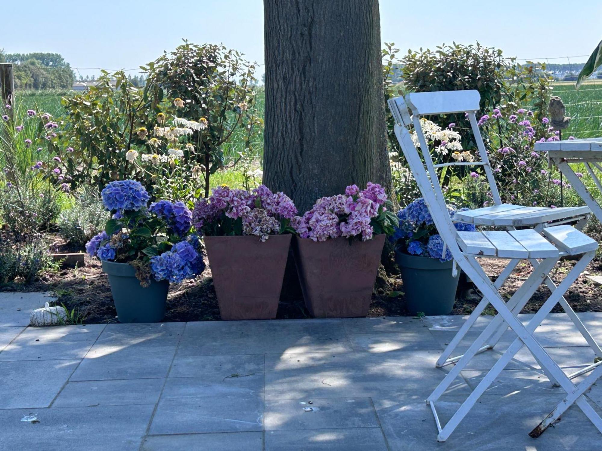 B&B Hieris'T Hoofdplaat Bagian luar foto
